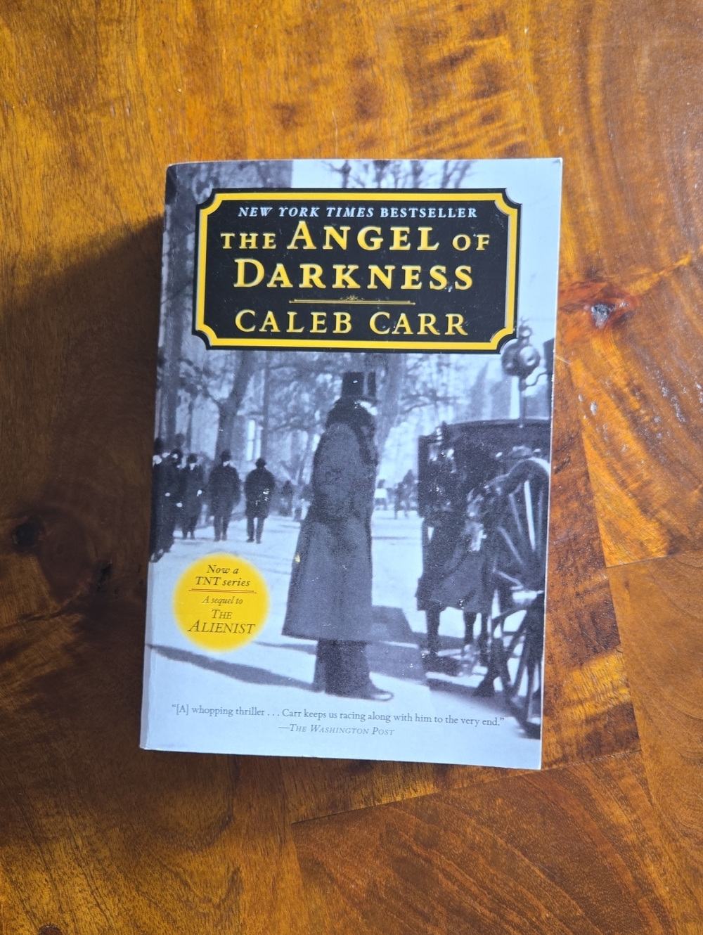The Angel Of Darkness Novel